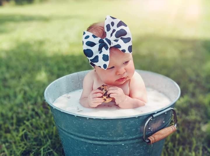 Cow Print Bow