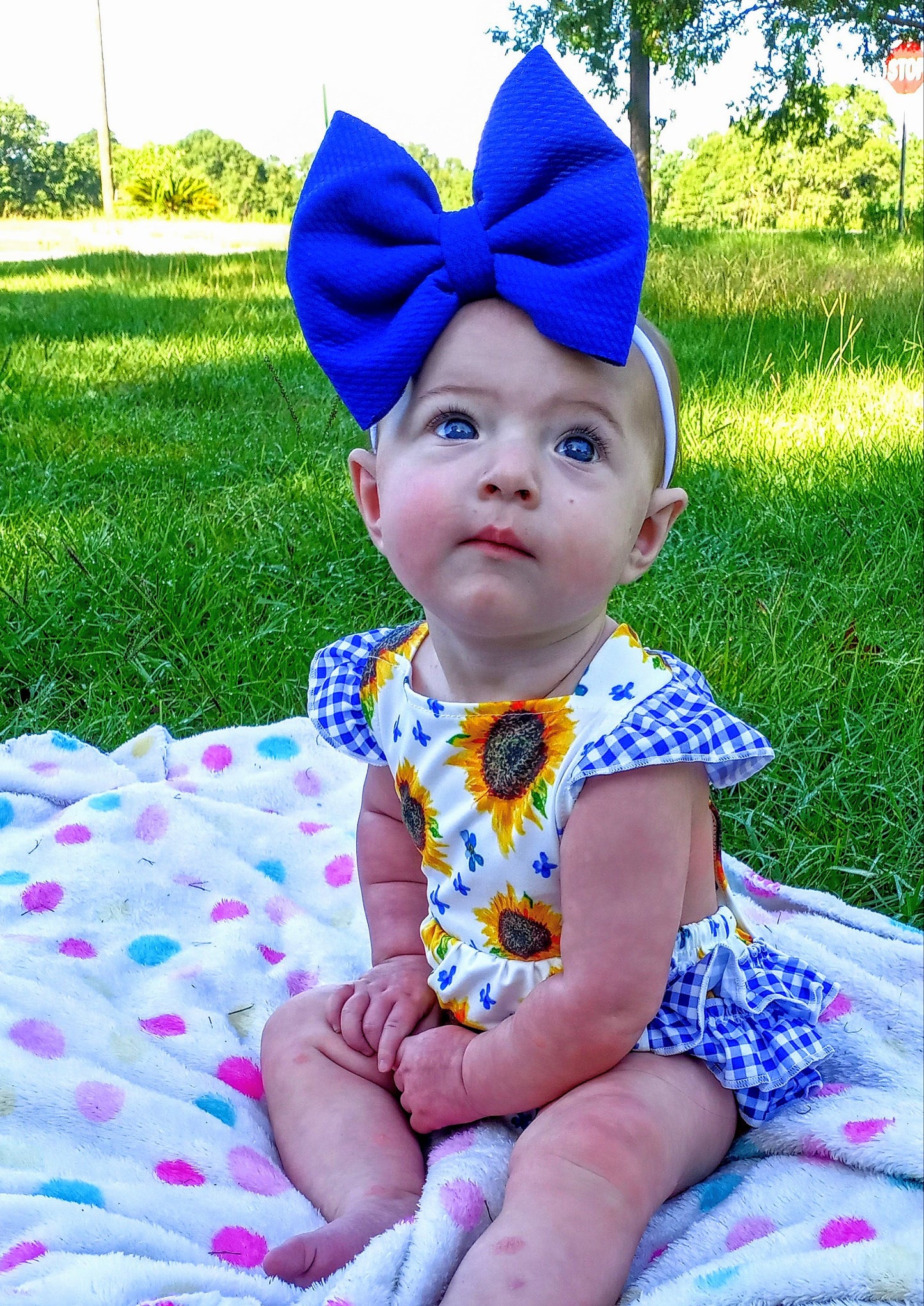 Royal Blue Solid Print