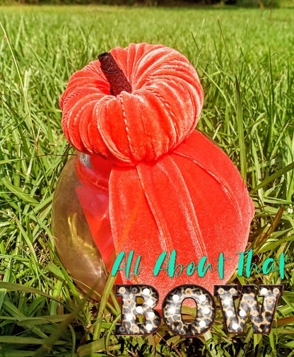 velvet pumpkin